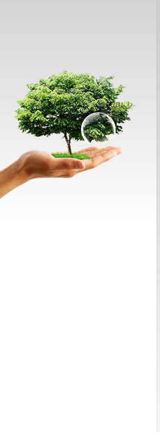 三體網(wǎng)址大全挑錯有禮